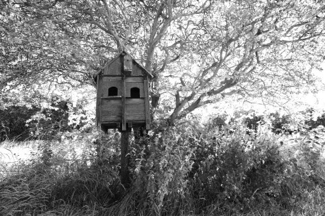 In the Marshlands