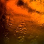 duChemin-WhiskyShots-10