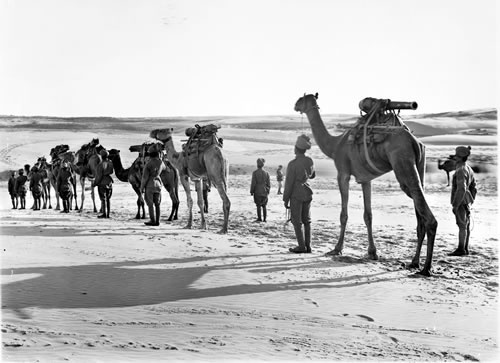 Imperial Camel Corps