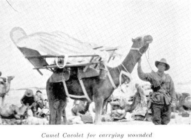 Imperial Camel Corps