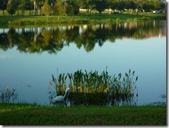 Condo Lake (800x600)