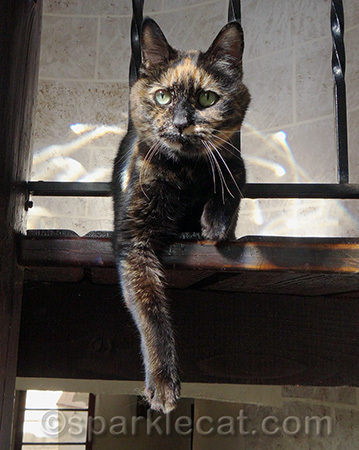 I think she is trying to be dramatic