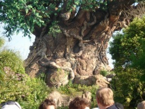 How many animals can you spot?