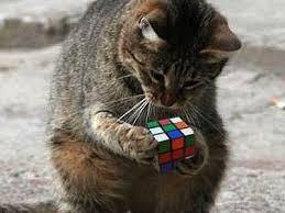 This is me with my whole life, at the moment.