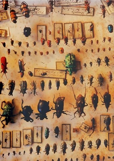 مركز تحميل الصور