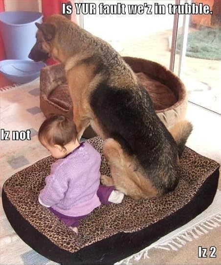 Photobucket Pictures, Images and Photos