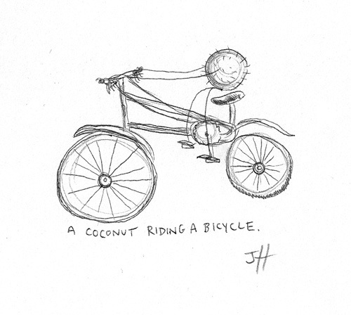 coconutbike4web