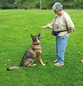 The payoff nears for Puppy Zen