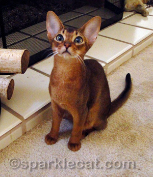 Look at those crazy Aby eyes!