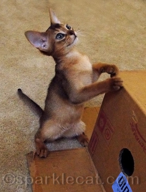 A little cutie!