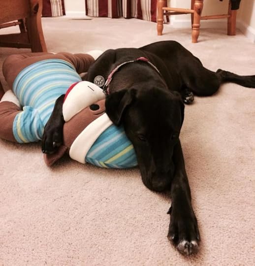 Dog with big sock monkey