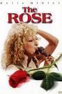 the rose