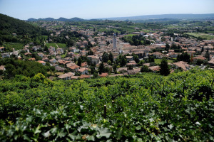Valdobbiadene2