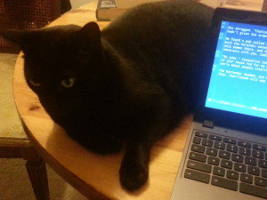virgil-at-work