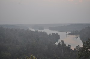 bio-rich forest around bango