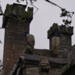 Thornfield Hall, Mr. Rochester's place. 