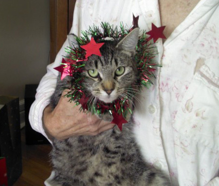 Fussy at Christmas