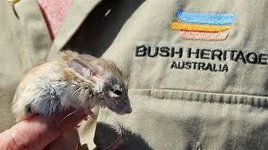 Bush Heritage 4