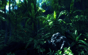 jungle