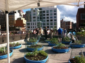 Hell's Kitchen Rooftop Kitchen at Metro Baptist Church