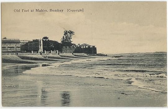 Jamie Grefe Interview