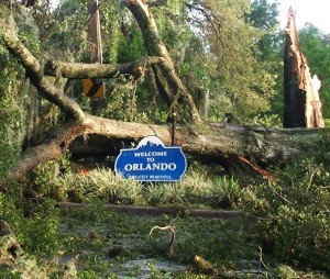 Orlando street view the morning after Hurricane Charley in 2004. Photo by Thomas Cook