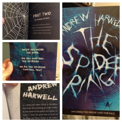 galleys.jpg