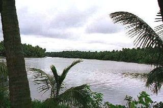 Pamba