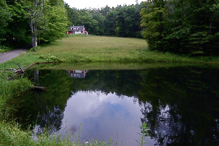 Pond 1