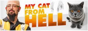 MY CAT FROM HELL