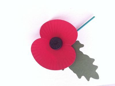 Poppy