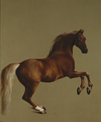 Whistlejacket by George Stubbs. 1762. Courtesy The National Gallery.