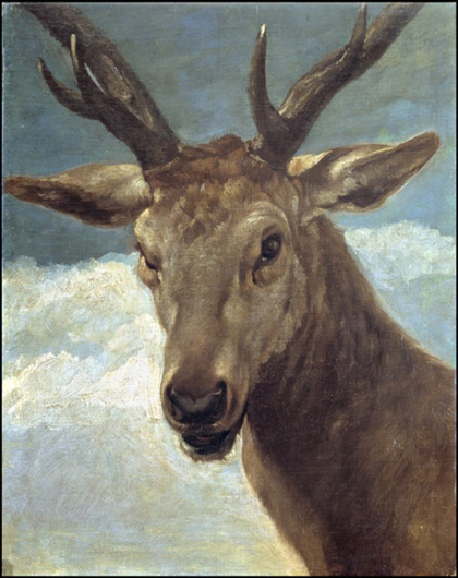 Head of a Stag by Diego Velázquez. Courtesy of Museo Nacional Del Prado.