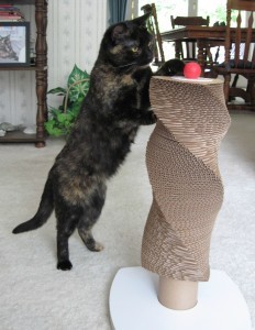Ruby with Scratch Tower