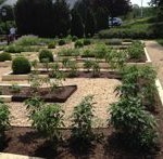 Culinary Institute of American