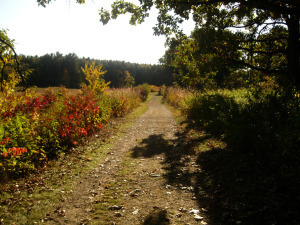 Wander away.