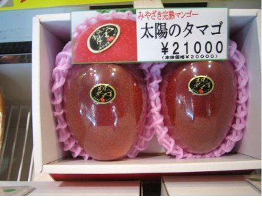Egg_of_the_sun