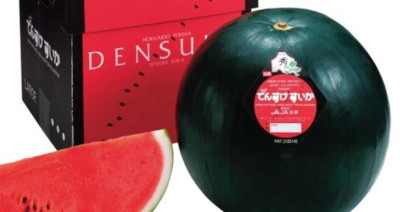 densuke