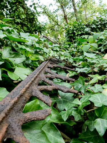 Iron Rail in Ivy
