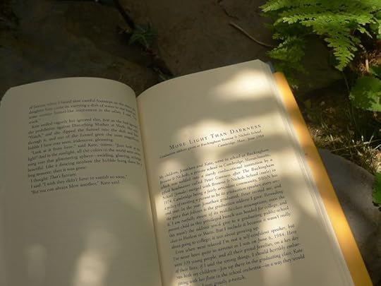Dream and Wishes by Susan Cooper