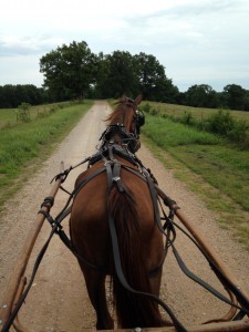 buggy