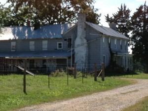 plantation
