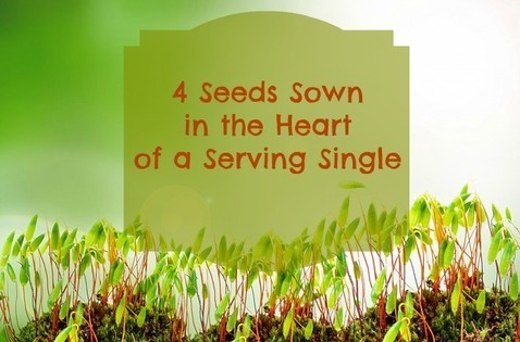 Seeds Sown