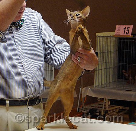This one was like a monkey!
