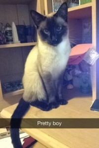 Maya's iphone March 2014 237