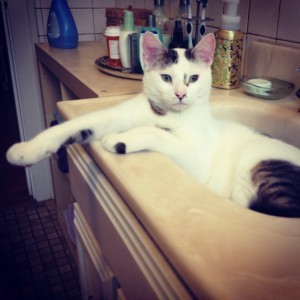 Maya's iphone March 2014 389