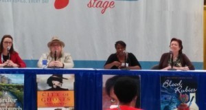 mystery panel 