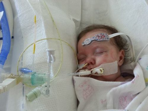 Photos courtesy of Jason and Amanda Erickson