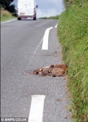 images-7