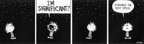 calvinhobbes